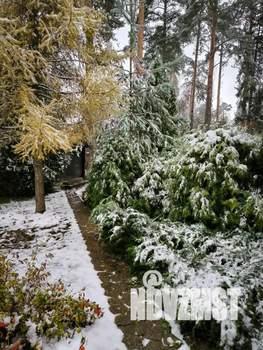 Дом 350м², 2-этажный, посуточно,