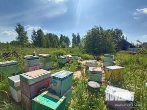 Дом 100м², 2-этажный, участок 24 сот.