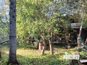 Дом 55м², 1-этажный, участок 4 сот.