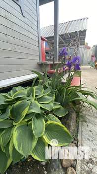 Дом 100м², 2-этажный, посуточно, 