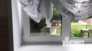 Дом 35м², 1-этажный, посуточно, 