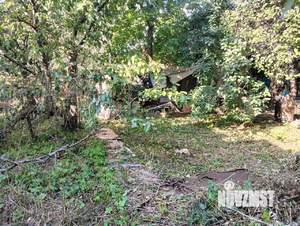 Дом 55м², 1-этажный, участок 4 сот.  