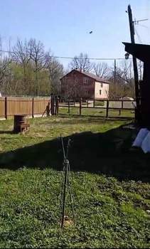 Дом 50м², 1-этажный, участок 5 сот.  