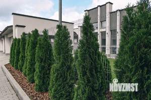 Коттедж 190м², 1-этажный, участок 8 сот.  