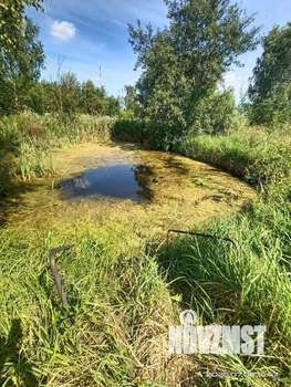 Дом 100м², 2-этажный, участок 24 сот.  