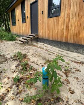 Дом 114м², 1-этажный, участок 6 сот.  