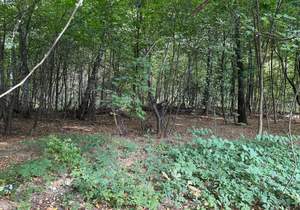 Дом 114м², 1-этажный, участок 6 сот.  