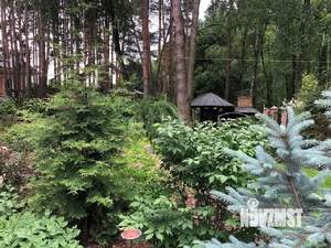 Дом 890м², 3-этажный, участок 45 сот.  