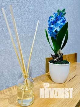 Студия квартира, посуточно, 35м2, 9/20 этаж