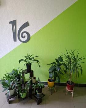 1-к квартира, на длительный срок, 32м2, 16/17 этаж