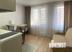 Студия квартира, на длительный срок, 20м2, 14/17 этаж