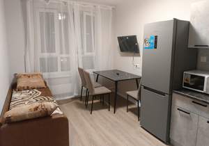 1-к квартира, на длительный срок, 36м2, 9/22 этаж