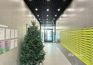 1-к квартира, на длительный срок, 20м2, 14/24 этаж
