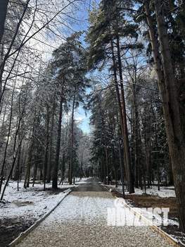 1-к квартира, на длительный срок, 40м2, 2/14 этаж