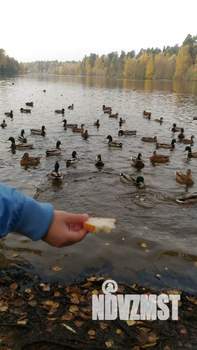 1-к квартира, на длительный срок, 42м2, 12/25 этаж