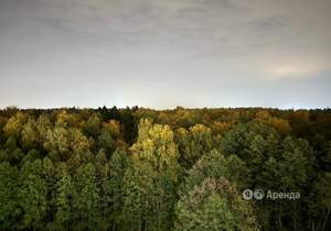1-к квартира, на длительный срок, 37м2, 10/17 этаж