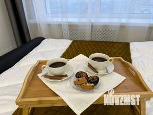 Студия квартира, посуточно, 26м2, 24/24 этаж