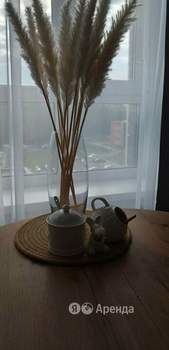 1-к квартира, на длительный срок, 34м2, 6/25 этаж