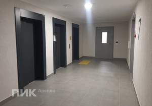 Студия квартира, на длительный срок, 20м2, 7/23 этаж