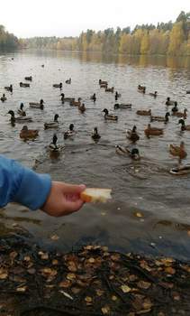 1-к квартира, на длительный срок, 42м2, 12/25 этаж