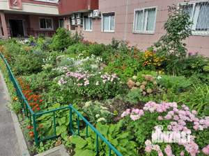 1-к квартира, на длительный срок, 46м2, 24/25 этаж