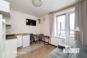 Студия квартира, на длительный срок, 20м2, 13/17 этаж