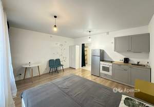 Студия квартира, на длительный срок, 27м2, 5/15 этаж