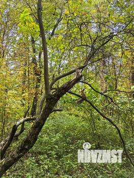 1-к квартира, вторичка, 38м2, 6/17 этаж