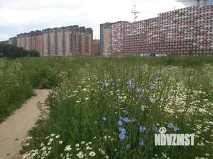 1-к квартира, вторичка, 33м2, 7/22 этаж