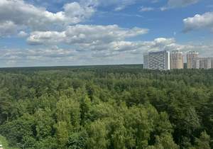 1-к квартира, вторичка, 50м2, 14/24 этаж