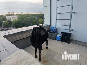 3-к квартира, вторичка, 120м2, 5/14 этаж
