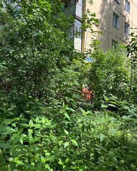 3-к квартира, вторичка, 56м2, 4/5 этаж