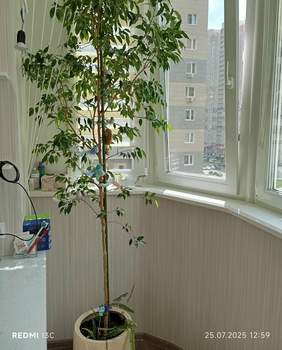 2-к квартира, вторичка, 73м2, 8/23 этаж