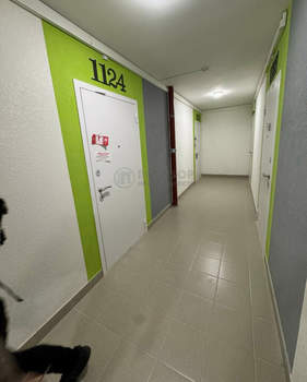 1-к квартира, вторичка, 30м2, 9/19 этаж