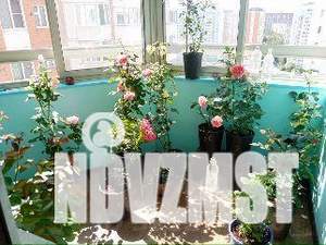2-к квартира, вторичка, 60м2, 15/17 этаж