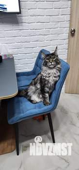 2-к квартира, вторичка, 54м2, 3/4 этаж