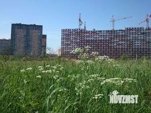 1-к квартира, вторичка, 33м2, 7/22 этаж