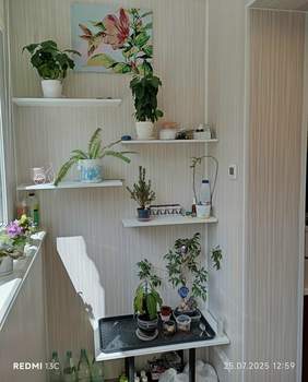 2-к квартира, вторичка, 73м2, 8/23 этаж