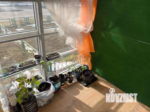 2-к квартира, вторичка, 56м2, 1/3 этаж