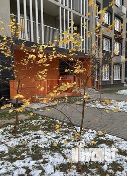 1-к квартира, вторичка, 32м2, 11/12 этаж