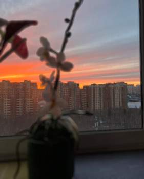 3-к квартира, вторичка, 81м2, 16/17 этаж