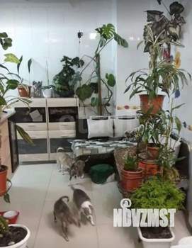 2-к квартира, вторичка, 55м2, 8/19 этаж