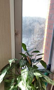 2-к квартира, вторичка, 59м2, 8/14 этаж