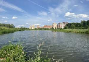 2-к квартира, вторичка, 49м2, 9/20 этаж