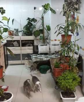 2-к квартира, вторичка, 55м2, 8/19 этаж