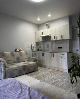 Студия квартира, вторичка, 24м2, 2/22 этаж