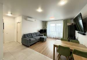 1-к квартира, сданный дом, 44м2, 11/11 этаж
