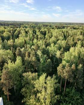 2-к квартира, вторичка, 58м2, 15/17 этаж