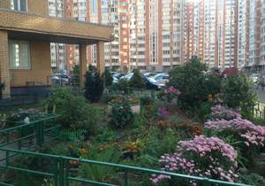 1-к квартира, вторичка, 45м2, 17/24 этаж