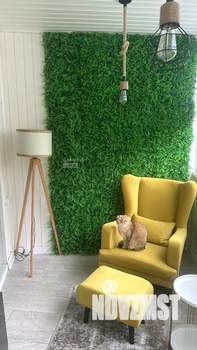 3-к квартира, вторичка, 69м2, 5/9 этаж